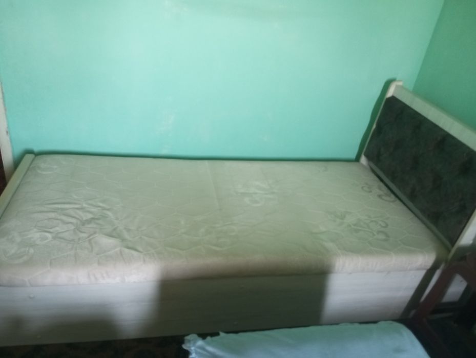 Kravat sotiladi xolati yangi