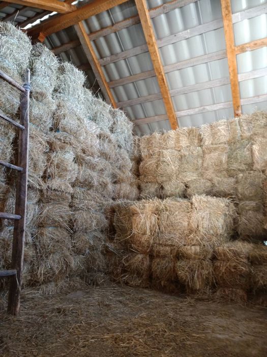 Vând baloți de fân