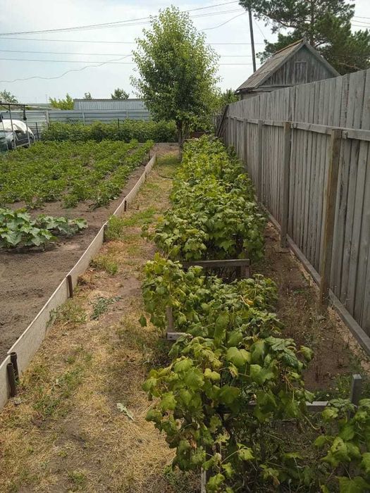 Продам дачу в СО "Геолог"