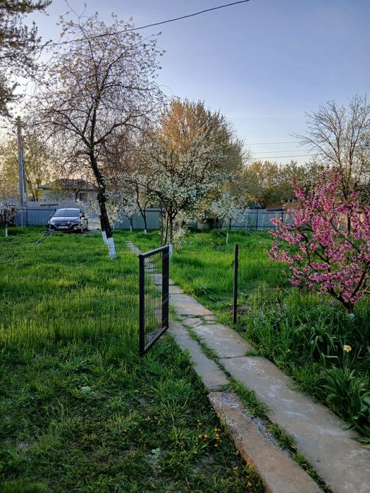 Vând casă bătrânească+teren