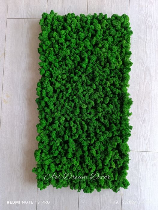 Изработване на пана и живи стени от Скандинавски мъх, жива стена декор