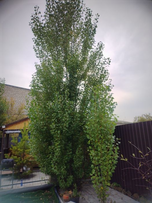 продается Дача для отдыха