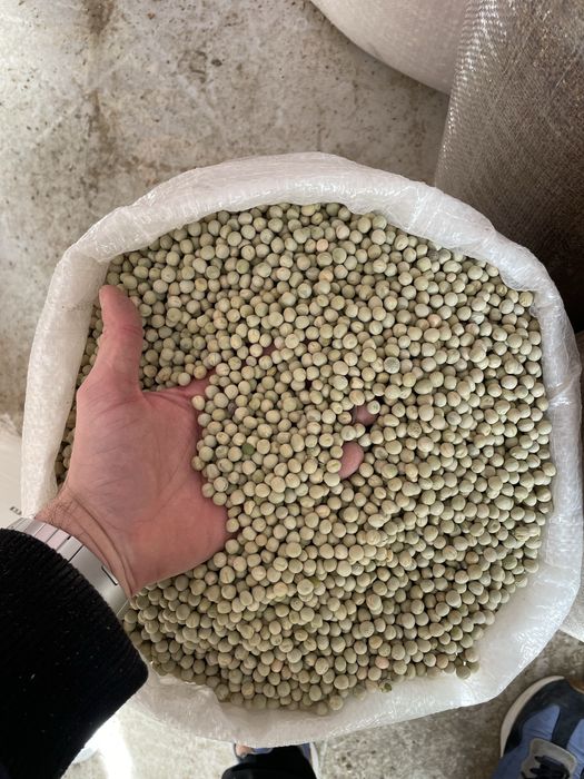 Amestec porumbei , mancare poumbei , mix porumbei