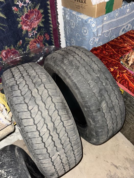 Титанка с покрышкой