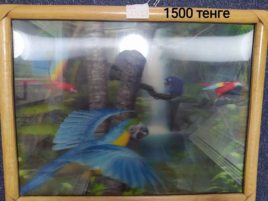 Размер А3 картинка попугай. Галограмма под стеклом. Новая. 1500 тенге.