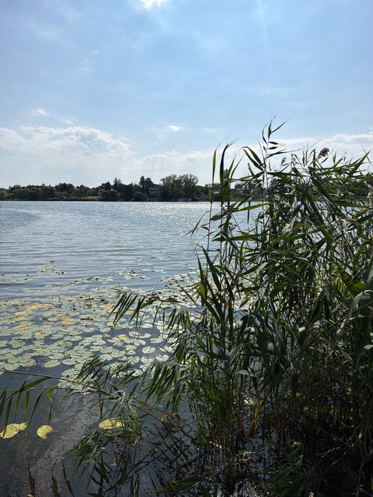 Teren Izvorani ieșire comună lac Snagov
