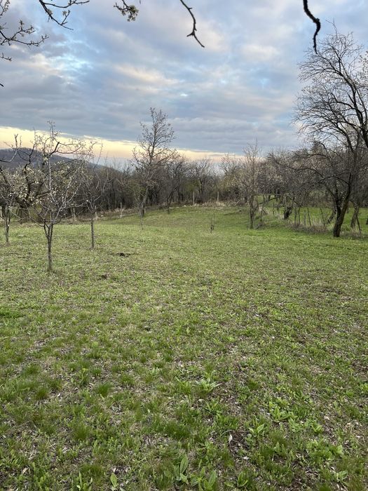 Teren ideal penteu cabana