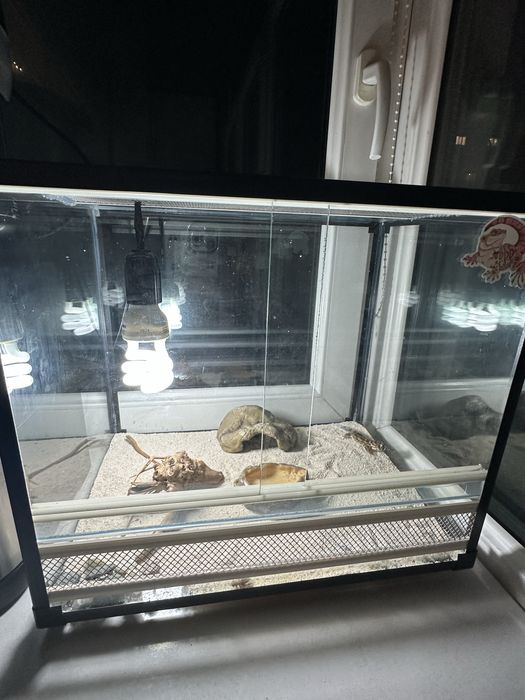 Террариум для геккона