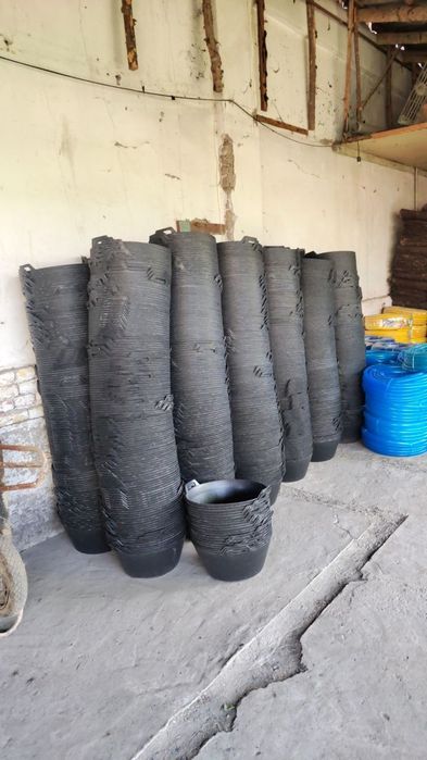 Panda tog'ora qora va rangli