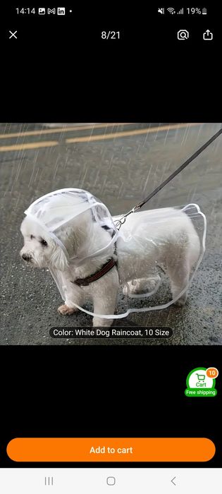 дрешки за кученце яке и дъждобран