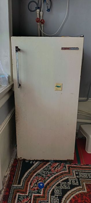 Muzlatgich muz yig'adigan rossiyaniki