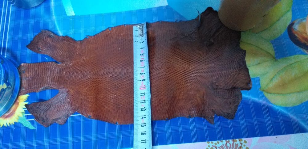 Piele varan 100% originala