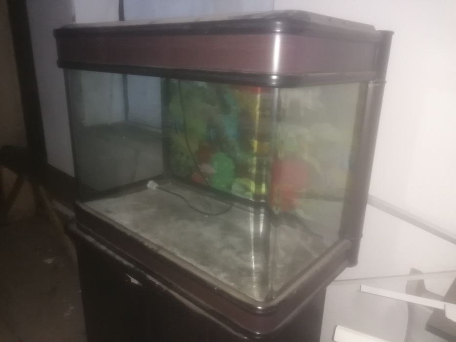 Аквариум с рифами