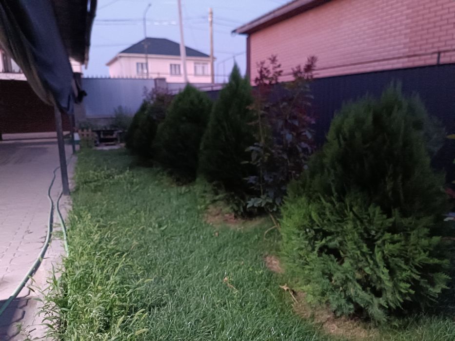 Продам дом с времянкой