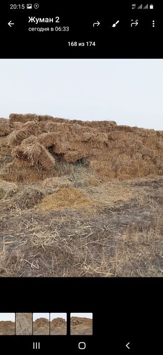 Жонышка прес жонышка