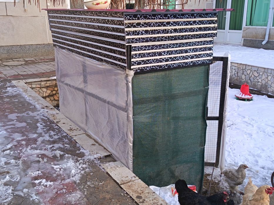 Хонаки товуклар сотилади