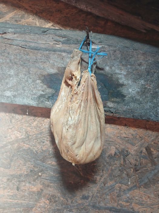 De vanzare branza de oaie cu chiag de miel