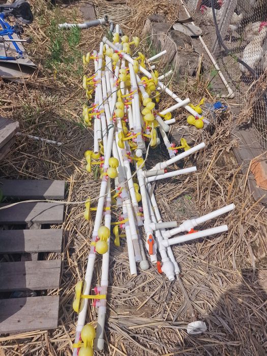 Продам поилки для перепелов