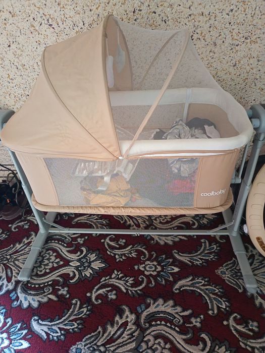 Tokli belanchak bir marta yotgan holos