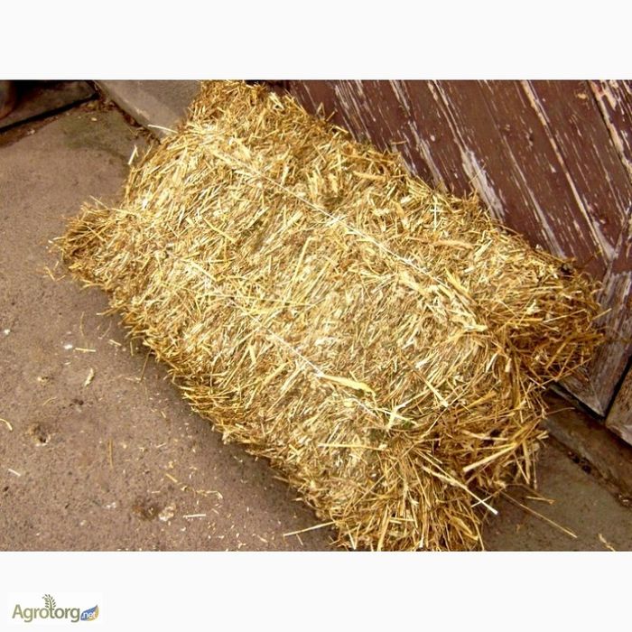 Продам салому находиться в городе