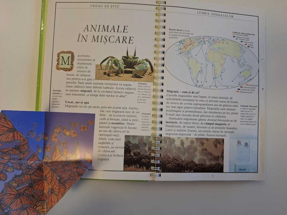 Lumea animalelor - Numai cei puternici supraviețuiesc (ed. Teora)