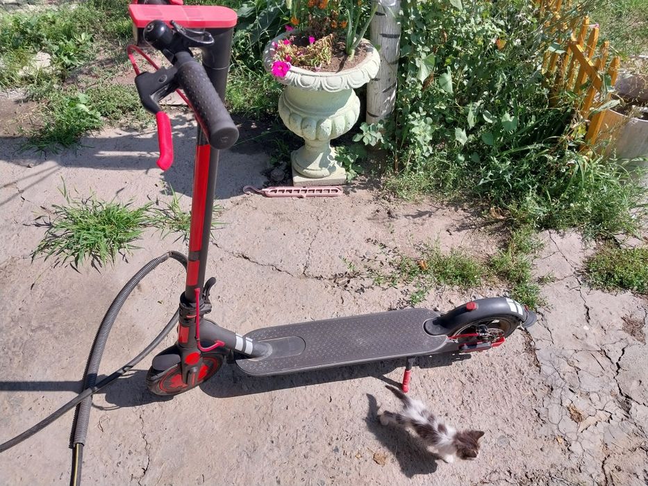 Электро самакат ксиоми про оригинал