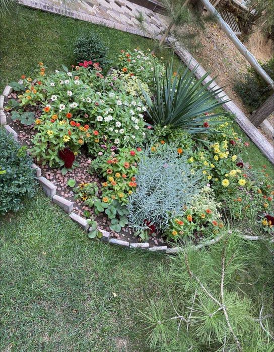 Медгородок 2/1/4  квадратура 56 м2 Ориентир 29 школа