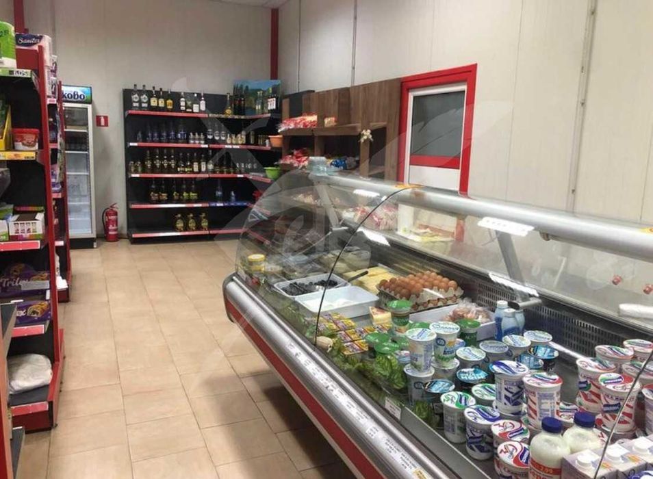 Продава се Магазин в с. Дълго поле, Област Пловдив - 800 кв.м за 250 €/кв.м - Снимка #5