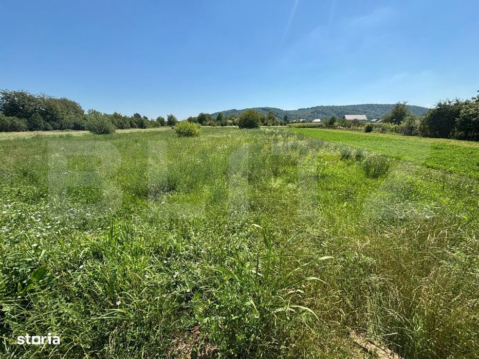 Teren intravilan, 1.782 mp, deschidere 20 ml, zona Branesti