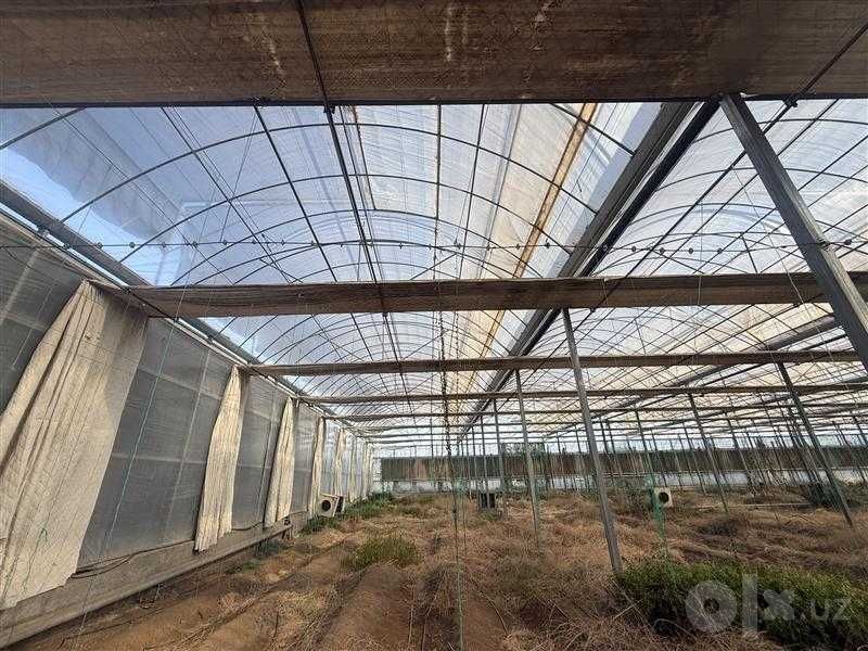 Gidroponika va oddiy usuldagi issiqxona inshoati