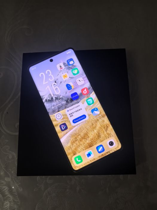 Vivo X100 Pro 16/512 Gb