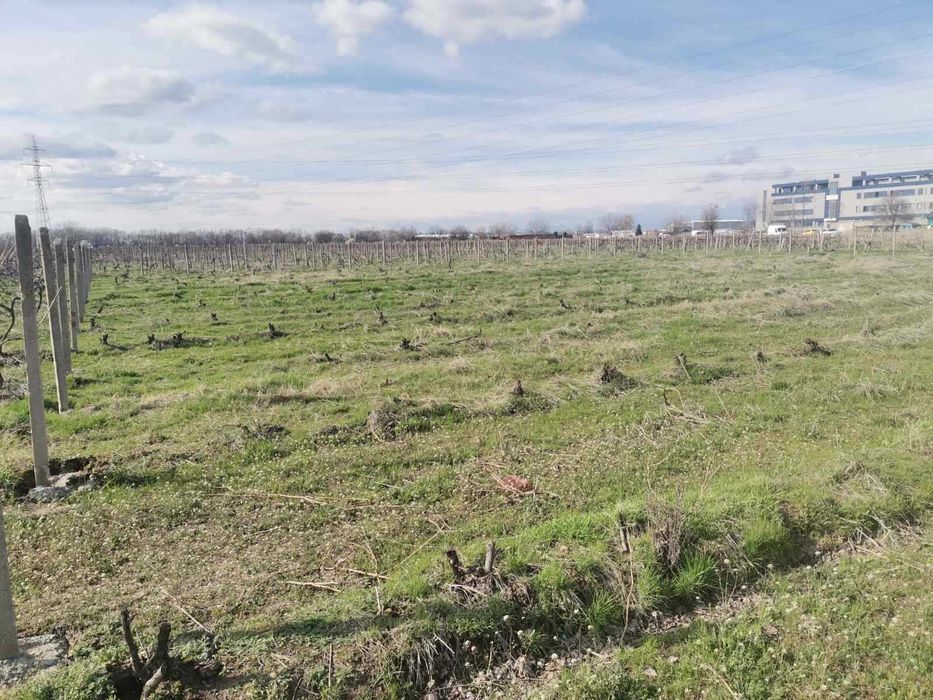 Дава се под наем Парцел в Пловдив, Беломорски - 1000 кв.м за 51 € - Снимка #5