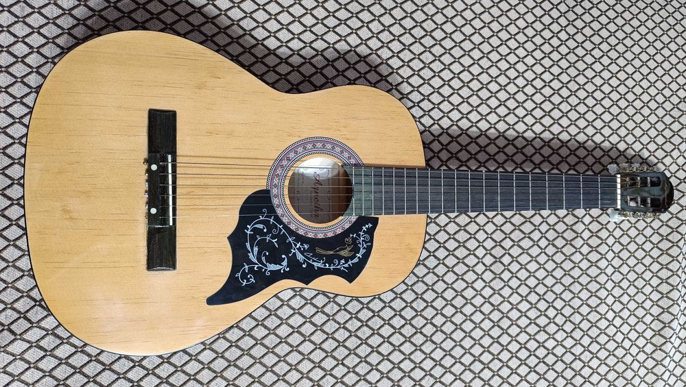 Гитара Agnetha ACG-E133 BK Black
