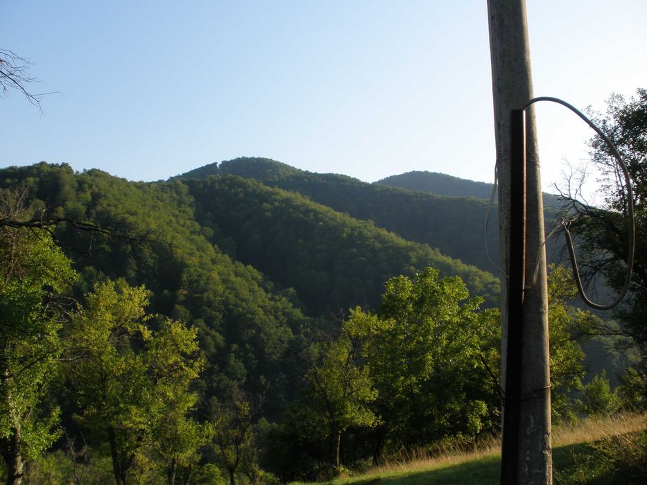 Парцел в с.Рибарица