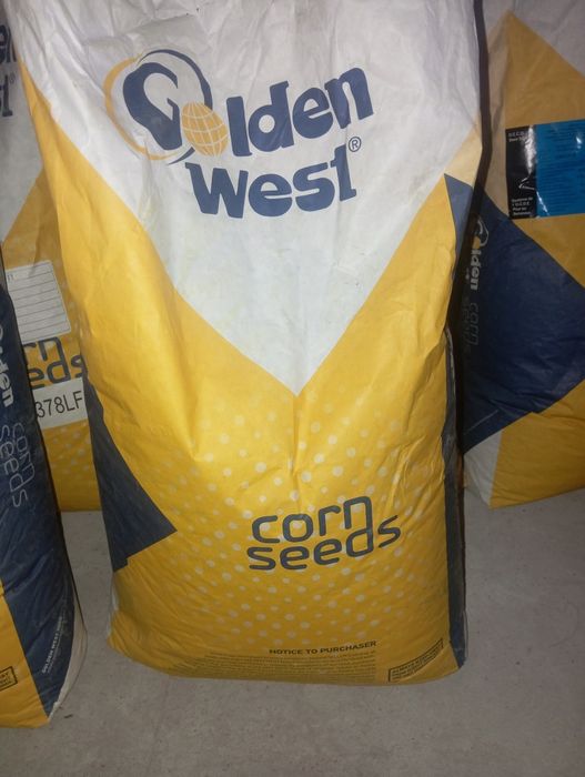 Семена кукурузы golben west