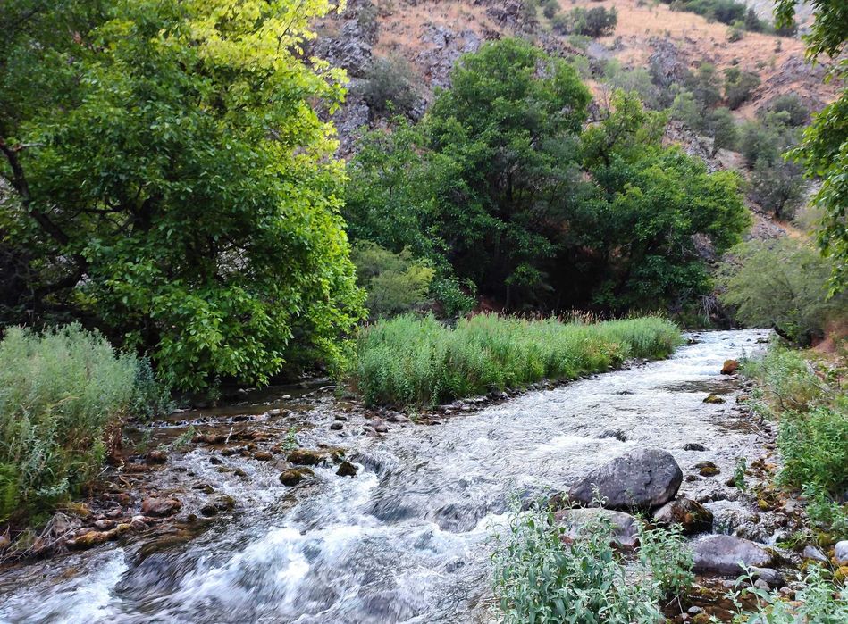 Экскурсионные походы по горам Узбекистана, так же рыболовные туры