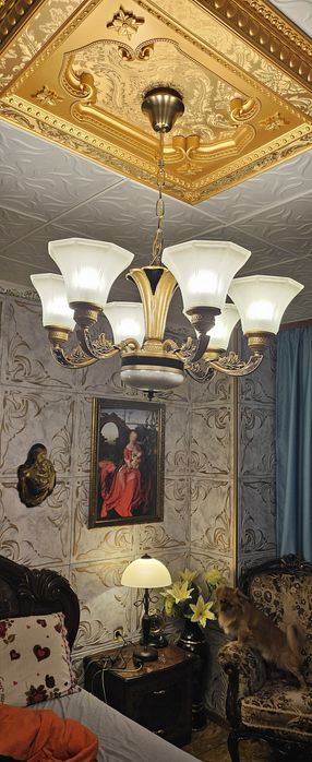 Продавам красив полюлей.