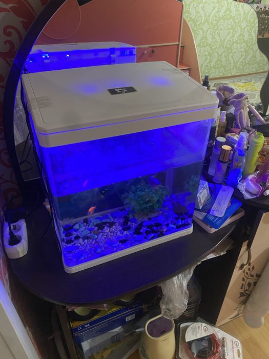 Продам аквариум с подсцветкой
