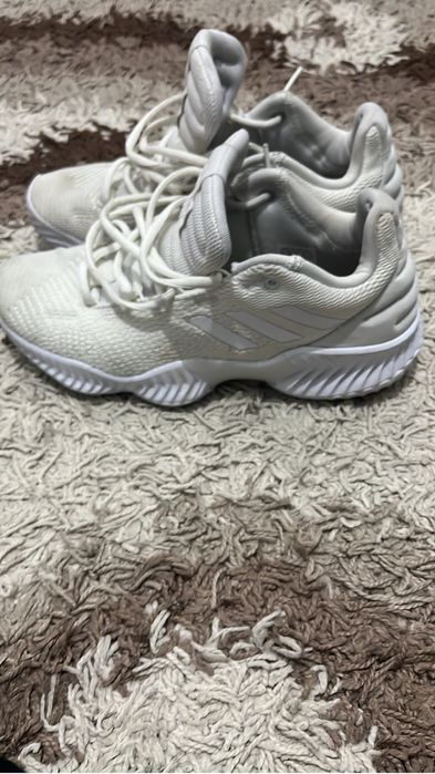 adidas pro bounce 2018