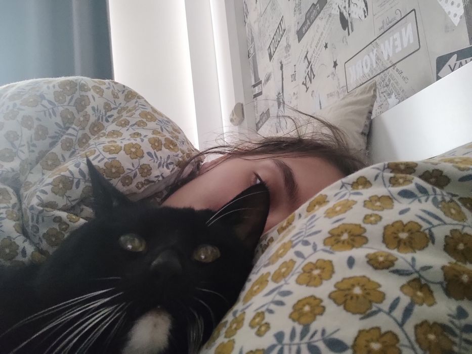 Pet sitter pisici