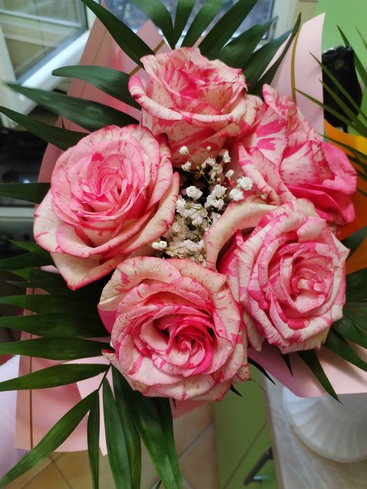 Bona zona Diham sector 2