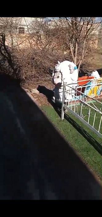 Атракционы качалки.