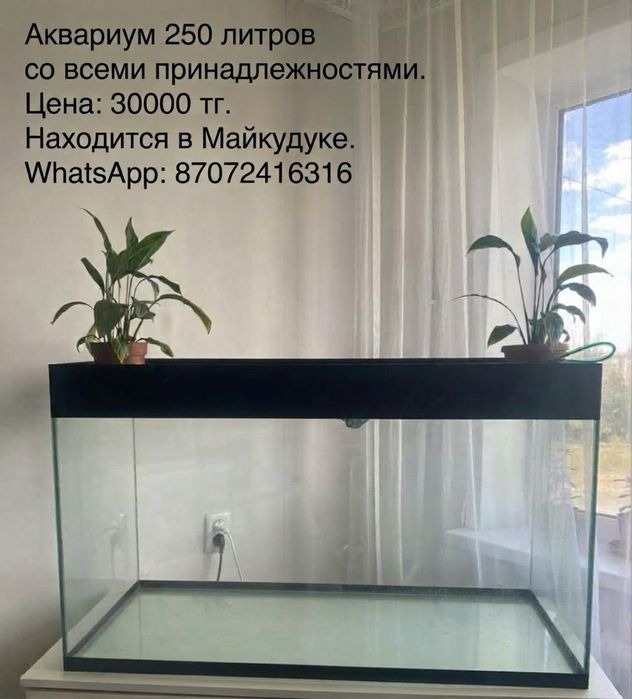 250 литров срочно продам