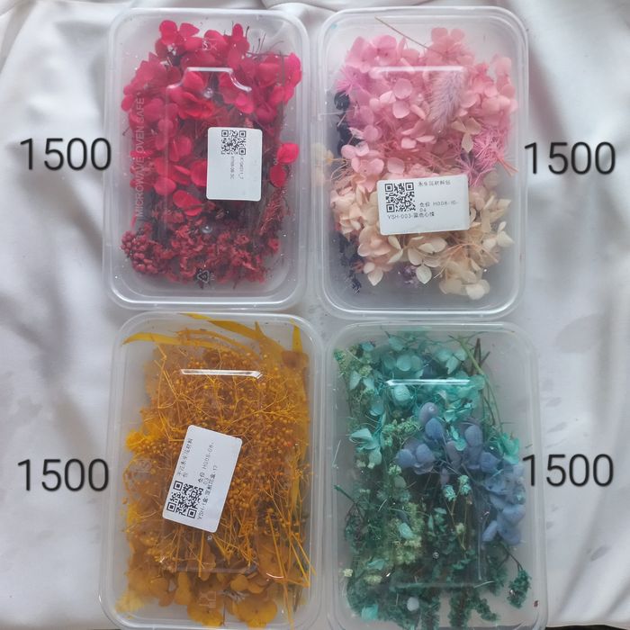 Молды и сухоцветы