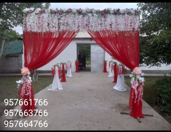 Туй безаклар оформление