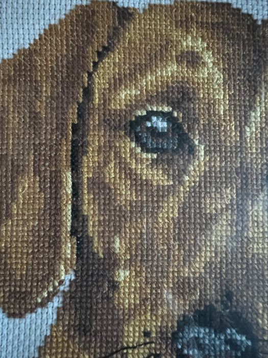 Ручная вышивка крестиком. Пёсик. 34×26 Рамка входит в стоимость