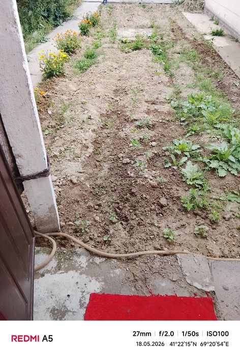 Ижарага куяман шерик бола кере шароит яхши