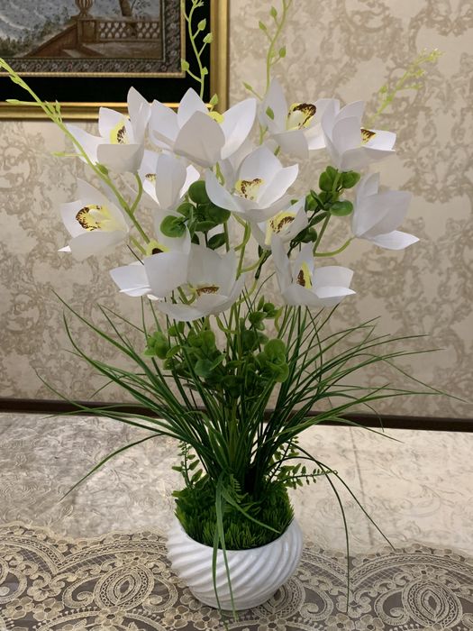 Chiroyli qaldirgochlar