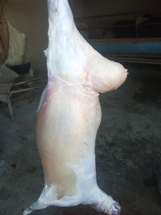 Кассоб хизмати 200000