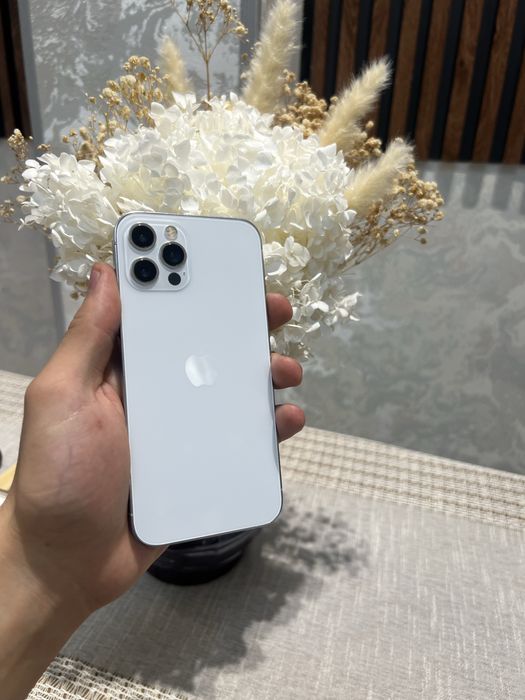 iPhone 12 pro 256 gb